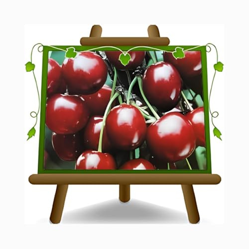 EURO PLANTS VIVAI Ciliegio Dolce Sweet Heart - Pianta da Frutto su Vaso da 20 - Pianta Max 170-2 Anni