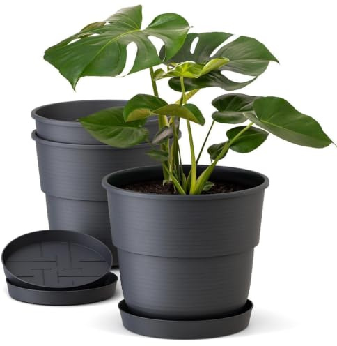 Plastard Blumentopf 3er Set Ø32 cm mit Untersetzer Anthrazit, Pflanzkübel | Witterungs- UV & frostbeständig, inkl. 24 cm Untersetzer, ideal für Garten, Balkon & Innenbereiche, Deko Pflanztopf 12 Liter