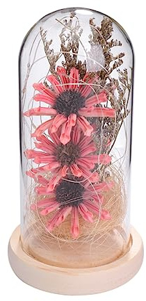 Cabilock Flower Dome Lamp Glass Light Dome Decor Solar Lights Outdoor Garden Ornaments Artificial Plant