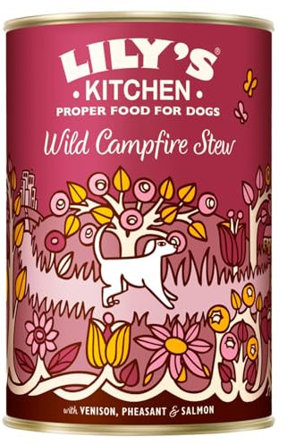 Lily's Kitchen Wild Campfire Stew for Dogs 400 g