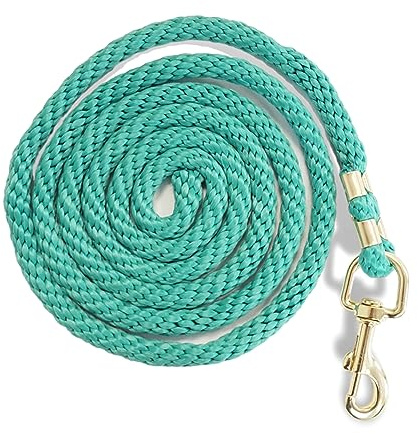 Pferdelinis Führstrick für Pferd - Anbindestrick in verschiedenen stylischen Designs, Führleine, Anbindeseil Pony, Esel, Ziege (Türkis)