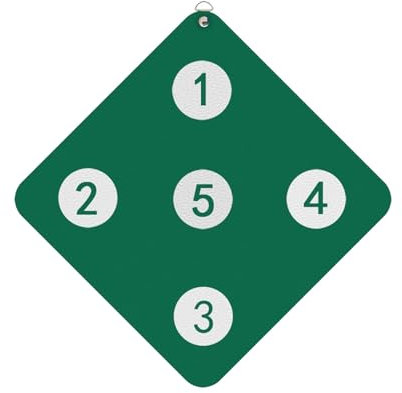 KXJPIZIYB Fechtzielscheibe Fechttrainingsgerät Fechtausrüstung Zielscheibe für Säbel Florett und Degen mit Fünf Bullaugen für Zuhause und Den Fechtverein(Green)