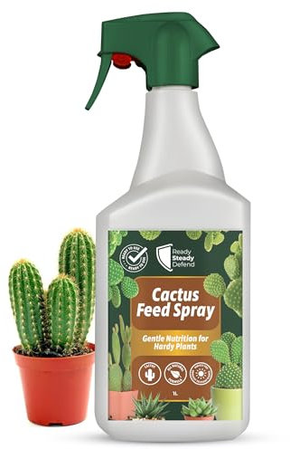 Cactus Feed Spray 1L - Natural Cactus Fertiliser for Healthy Growth | Succulent Plant Food for Indoor & Outdoor | All-Natural Cactus Food with Seaweed Extract | Perfect for Cacti & Succulent Care