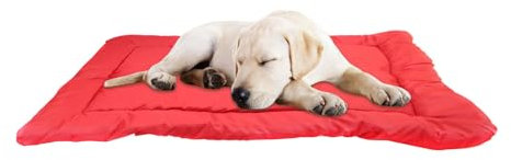 Hundebett Im Freien - Kühlung Erhöhtes Hundebett | Erhöhte Hundebettbett | Wasserdichtes Waschbares Reisebett Für Kleine Mittelgroße Hunde, Aufrollen -Design Für Camping, Innenkomfort, Wanderausrüstun