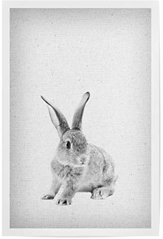 artboxONE Poster 30x20 cm Für Kinder Rabbit 25 hochwertiger Design Kunstdruck - Bild Kaninchen Hase Haustier