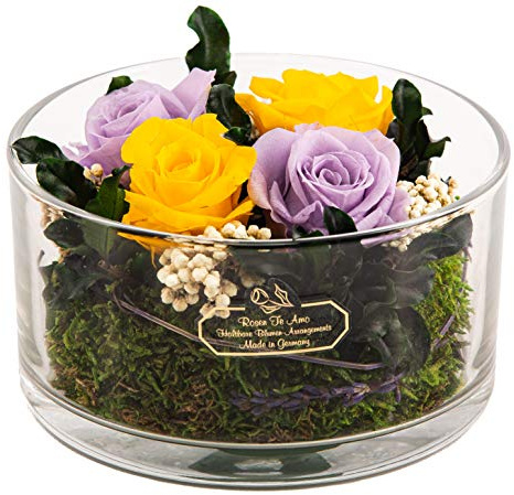Rosen-Te-Amo Konservierte Rosen im Glas, duftend, gelb, handgemacht mit echten Foliage Geburtstagsgeschenk für Frauen, echte Rosen Geschenke für Mama, Blume zum Weihnachten, Valentinstag, Muttertag
