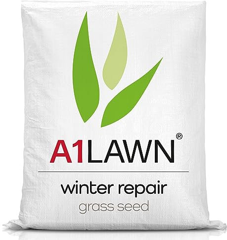 A1 Lawn – Winter Repair Grass Seed, A1 Lawn Grass Seed for Repairing Grass Over Winter – Winter Patch Repair Seed, (AMPRO10)