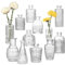 12 Stück Kleine Vasen Set,Mini Vasen Set, Vasen Klein Tischdeko,kleine Vasen für Tischdeko Vintage, für Muttertagsgeschenk, Hochzeitsdekorationen und Wohnzimmer Deko