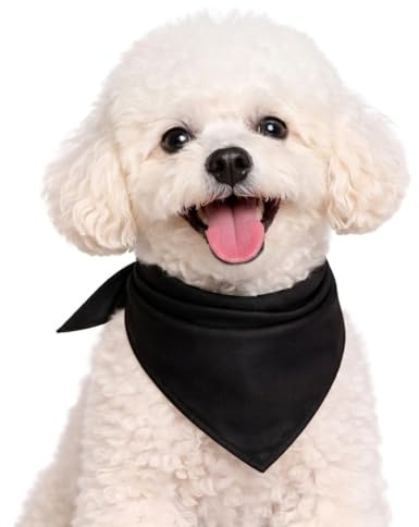 Petitebelle Hundehalstuch, Hund Zubehör, einfarbig, Größe S, Schwarz