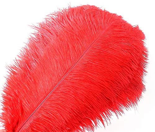 10pcs Plume d'Autruche Naturel Artisanat 14-16 Pouce (35-40 cm) Plume pour Centres de Mariage Décoration de La Maison, Couture, Artisanat, Costumes, Fête à Thème, Décoration de Noël (35-40cm,Rouge)