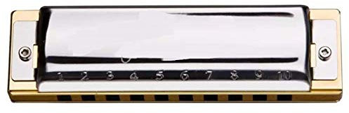 Mundharmonika Blues Harp Diatonische Mundharmonika 10 Loch 20 Ton Musikinstrumente Mund Orgel Key C YIJIAN