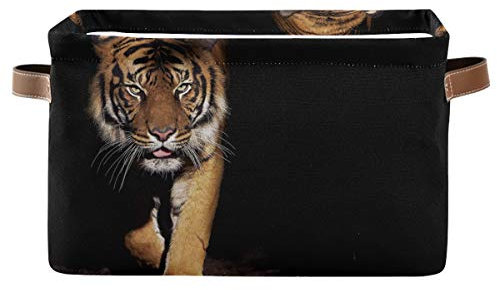 HMZXZ Rxyy Action Afrikanisch Tiger Schwarz Segeltuch Aufbewahrungsboxen Zusammenklappbar Spielzeuge Lager Bin mit VE Leder Griffe Aufbewahrungskörbe Veranstalter für Kleiderschrank Wandschrank