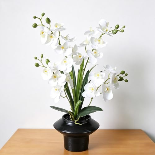 PlusFive Artificial Orchid,37cm White Orchid Artificial Flowers in Pot,Fake Orchid Silk Phalaenopsis Flower Arrangement,Orchid Plant for Housewarming Gift Table Window Sill Home Decor