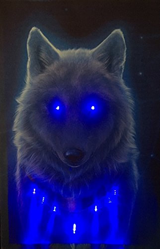 Samarkand - Lights LED-Bild mit Beleuchtung LED- Bilder Leinwandbild 65 x 45 cm Leuchtbild Wandbild WOLF