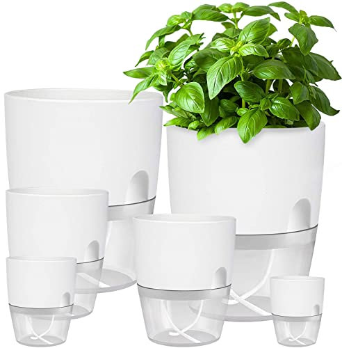 iDattel Flower Pot with Watering System, Herb Pot Kitchen Set, Windowsill, Self-Watering, Set of 6, 23.5/15.3/10.5/8.2 cm, for Fresh Herb Garden