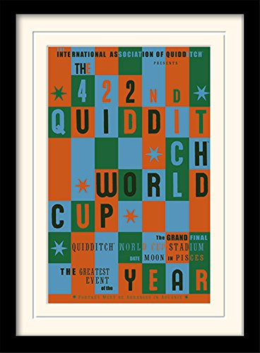 Harry Potter Memorabilia Quidditch World Cup, Papel MDF montado de 250 g/m, 40L x 30W cm