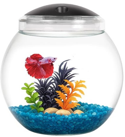 Koller Products 1-Gallon Globe Fish Bowl, Impact- Resistant Plastic Aquarium Starter Kit with LED Lighting, Built-in Timer, Crystal-Clear Clarity, Desktop Fish Tank for Home Décor