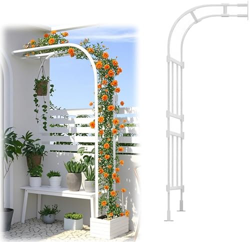 Tonnelle De Jardin Arche Demi-côté, Cadre en Acier Demi-Arc Résistante Aux Intempéries Treillis De Arche Plante Grimpante Roses 240cm 267cm De Haut(White,125x267x60cm)