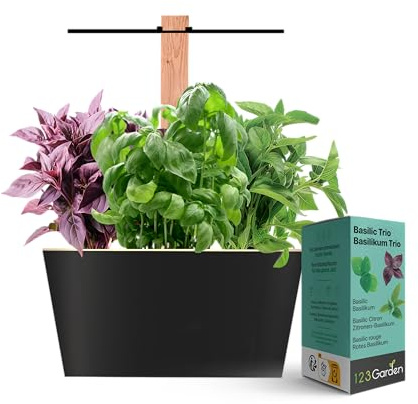 Potager d'Intérieur LED 12W avec Trio de Basilics, Kit de Culture Aromatique