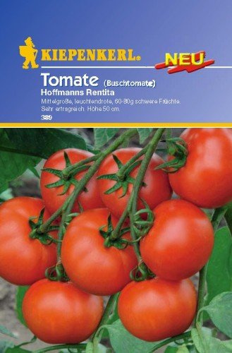 Tomate Hofmanns Rentita