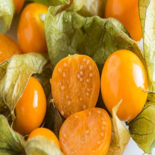 80 Stück gelbe Physalis-Fruchtsamen