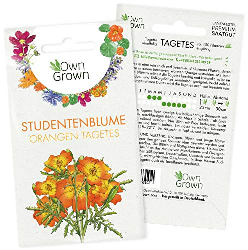 Orangen Tagetes Samen: Premium Studentenblumen Samen für ca. 150x blühende Tagetes Pflanzen – Blumensamen Balkon für Essbare Blüten – Studentenblume Blumen Saatgut – Wiesenblumen von OwnGrown