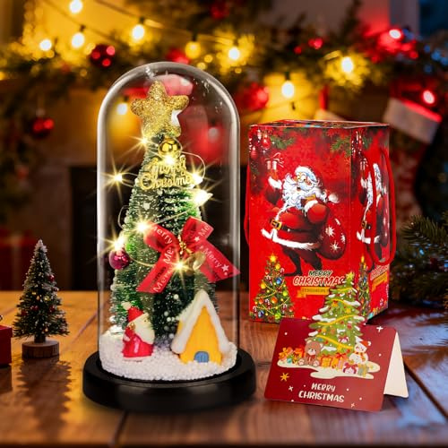 HOTOIQ Geschenke für Frauen, ewige Dekoration in Glas, Geburtstagsgeschenk für Freunde Geschenk für Frau Freundin Mutter Oma am Valentinstag Geburtstag der Mutter Weihnachten