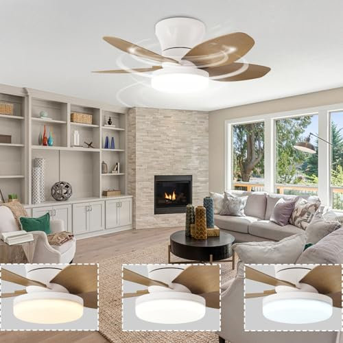 Petit Ventilateur Plafond Avec Lumiere, Chambre Lustre Ventilateur De Plafond Silencieux Minuterie, 63CM Plafonnier Ventilateur Led 6 Vitesses Pour La Cuisine Et Le Restaurant Chambre Enfant