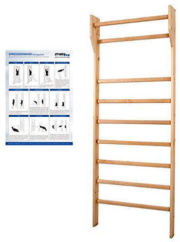 Sprossenwand Standard, BxH 80x210 cm, 9 Sprossen, inkl. Übungsposter