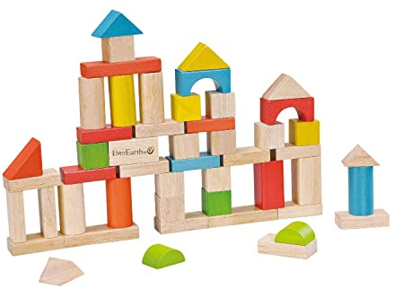 EverEarth - 50 Stück Bausteine (EE32569)