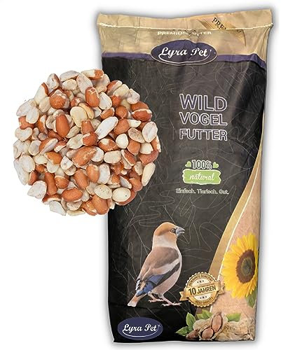 Lyra Pet® | 20 kg Erdnusskerne Splits Blanchiert & mit Haut Gemischt | Neue Ernte | Ganzjahres Vogelfutter für Wildvögel | Reich an Ballaststoffen & Vitaminen | Fetthaltige Erdnüsse mit + ohne Haut