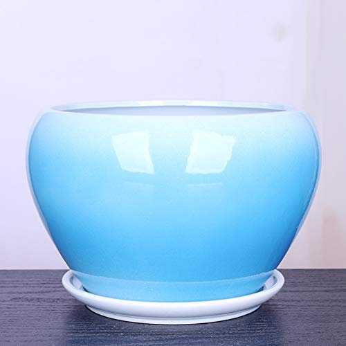 BUNCC Mini Maceta de cerámica para Plantas suculentas, Maceta Verde Manzana, Maceta de cerámica Grande con Orificio de Drenaje, macetas Grandes para bonsái, macetas de Cactus Decorativas para jardín