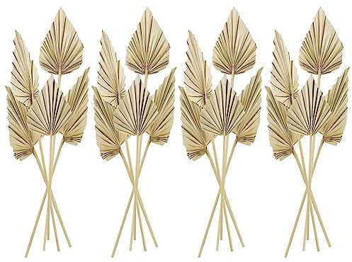 Diheohg 20 hojas secas de palma, hojas de palma secas con tallo, hojas secas, jarrón decorativo