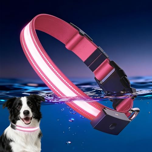 Leuchthalsband Hund, 1600FT Super Hell LED Leuchthalsband Aufladbar | Wasserdichtes Strapazierfähig Verstellbar Leuchthalsband Magnetisch Wiederaufladbar für Kleine und Große Hunde (Rosa, L)