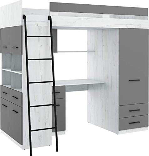 Hochbett mit Schreibtisch, Schubladen, Kleiderschrank und Bücherregal