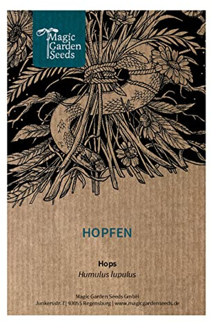 Hopfen (Humulus lupulus) - ca. 20 Samen