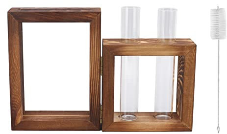 Stazione di Propagazione delle Piante, Supporto in Legno con 2 Test in Vetro, Tubi, Cornice in Legno, Provetta Idroponica in Vetro, Vaso da Fiori, Ornamento da Tavolo Per Piantare Fiori in Acqua