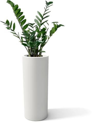Kloris Vase Moderne cylindrique résine Ronde Hauteur 90 cm modèle Baroque jardinière polyéthylène 35 x 35 x 90 cm Profondeur Compartiment 26 cm. Fabriqué en Italie.