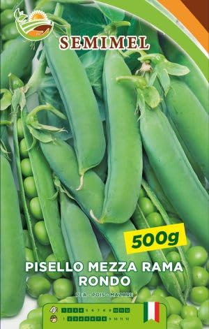 Pisello Mezza Rama Rondo - Legume Vigoroso e Produttivo, Alta Resa, Ciclo Medio Precoce, 1kg di Semi 1 confezione