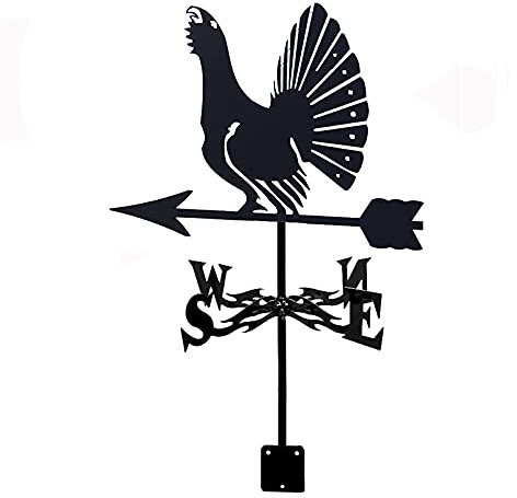 Banderuole Decorative da Giardino in Ferro battuto con Ornamento a Forma di Gallo cedrone Banderuola in Acciaio Inox per Decorazione da Giardino sul Tetto all'aperto Indicatori di direzione del Vento