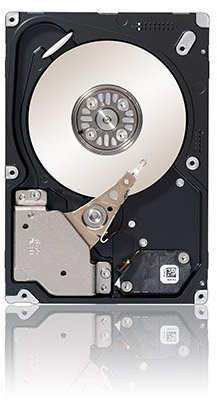 Seagate ST9300653SS - Disco Duro Interno de 300 GB (SAS, 2.5)