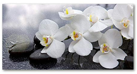 Tulup Glas-Bild Wandbild aus Glas - Wandkunst - Wandbild hinter gehärtetem Sicherheitsglas - Dekorative Wand für Küche & Wohnzimmer 100x50 - Blumen & Pflanzen - Orchidee - Weiß