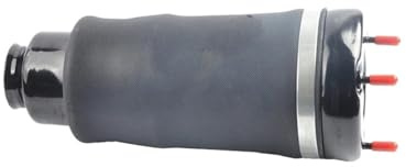 Amortiguador Columna Amortiguador para W220 ML500 GL450 W166 W205 W211 W212 W218 W213 W257 W222 W251 W638 W639 Amortiguador Suspensión Neumática Accesorios Resortes(W251 Front)