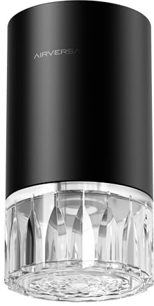 Airversa Ätherisches Öl Diffusor Aromatherapie Diffusor wasserlos für Zuhause, große Räume, Auto, Büro – Mit Batteriebetrieb, 100ml Tankvolumen, kompakt (RD1 Schwarz)