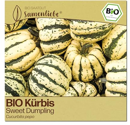 Samenliebe BIO Kürbis Samen | Sweet Dumpling - kleiner Zierkürbis - samenfestes BIO Saatgut