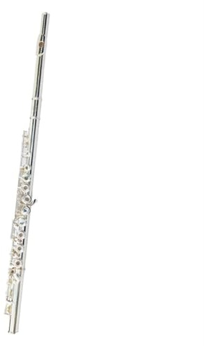 Querflöte Instrument 16 Löcher Für Öffnen Und Schließen Mehrzweckflöte Mit E-Tonart Für Anfänger Für Spielen Des Holzblasinstruments Für Die Prüfungsklasse