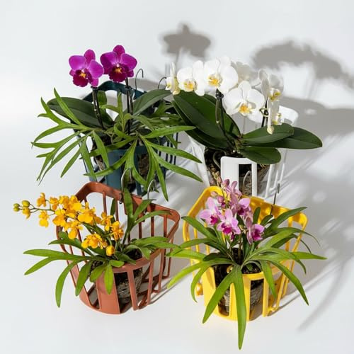 Dranvosk Hirschhorn-Farn-Wand-Pflanzkorb, vertikaler Orchideen-Hänge-Pflanzgefäß für drinnen und draußen, Wandpflanzenhalter, 4 Stück