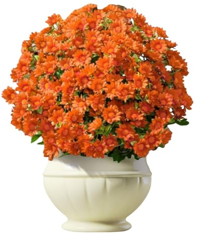 Mammes Artificiali Fiori Artificiali Esterni per Decorazione Resistente alle intemperie Protetti UV con Design Completo di Fioritura Falso Crisantemo per Il Portico da Giardino