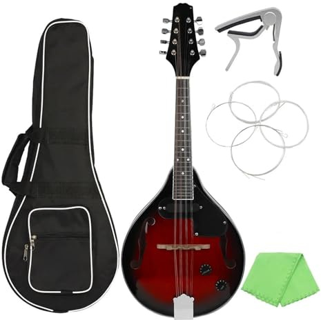 mandolin instrument Electric Mandolin 8 Strings A Style for Beginners Practice