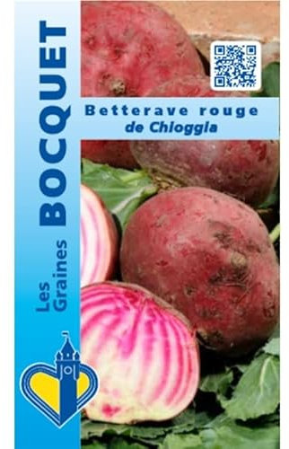 Sachet de graines de Betterave rouge Chioggia - 6 g - LES GRAINES BOCQUET